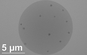 w615_0_0-10000x-0131