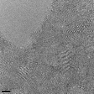 pncsi_on_fei