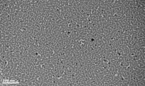tem082-0130