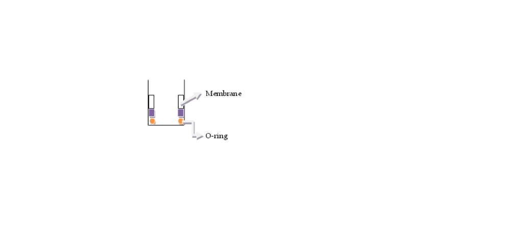 oringpic3