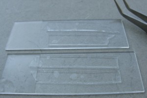 PDMS strips to go in the UV-ozone