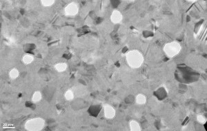 tem148_carbon-0222 tem148_carbon-0222