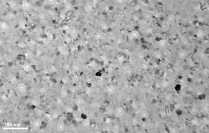 tem148_carbonized2-0119