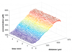 [Graph] gradient progression