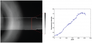 [Graph] main channel of Whitesides Chmaber with a linescan