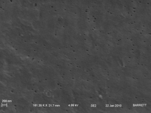 Picture 20