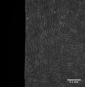 Silicon Nitride 20x