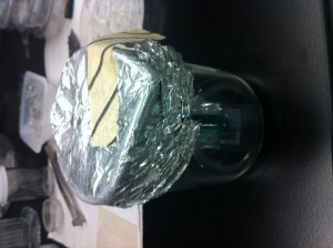 BBB Device V2-5 Autoclaved in beaker