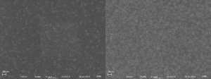 PEG treated [Left]; Untreated [Right]