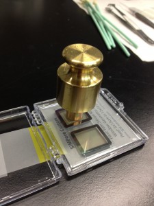 photo (11)