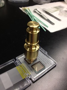 photo (12)
