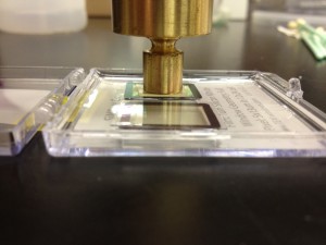 photo (13)