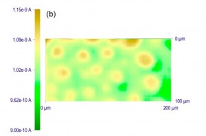 permeability scan