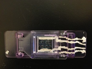 Cytovu Top Down View Lid Closed
