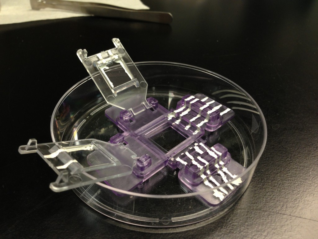 Cytovu with conductive ink