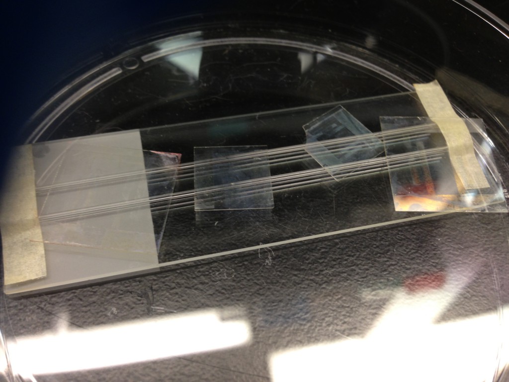 Cytovu Static TEER Electrodes Concept. They were patterned with lithography and a cheap printed transparency, etched with 12M HCL for 45 seconds, and stripped of photoresist with Acetone.
