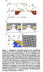 Figure 1 nanofluidic transistor