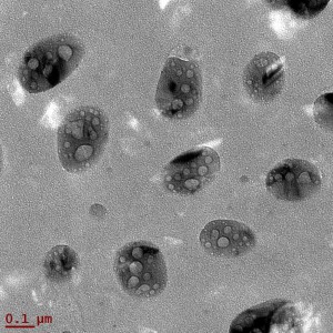 NSN305030@160mJ 576MM 60URAD 5S_0002