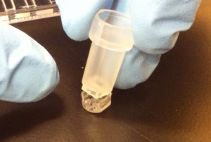 top basket snapped into bottom basket