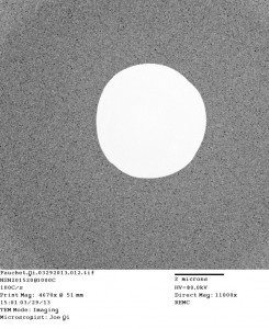 TEM-NSN201520-1