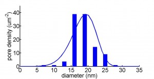 oso pore distribution