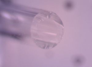 capillary cut unpolished