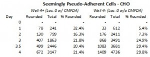 CHO Cells Pseudo-Adherence