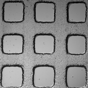 PBS_0.3_4x_