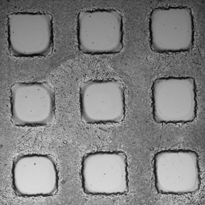 PBS_1.5_4x_