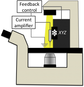 Scanning ion conductance microscope