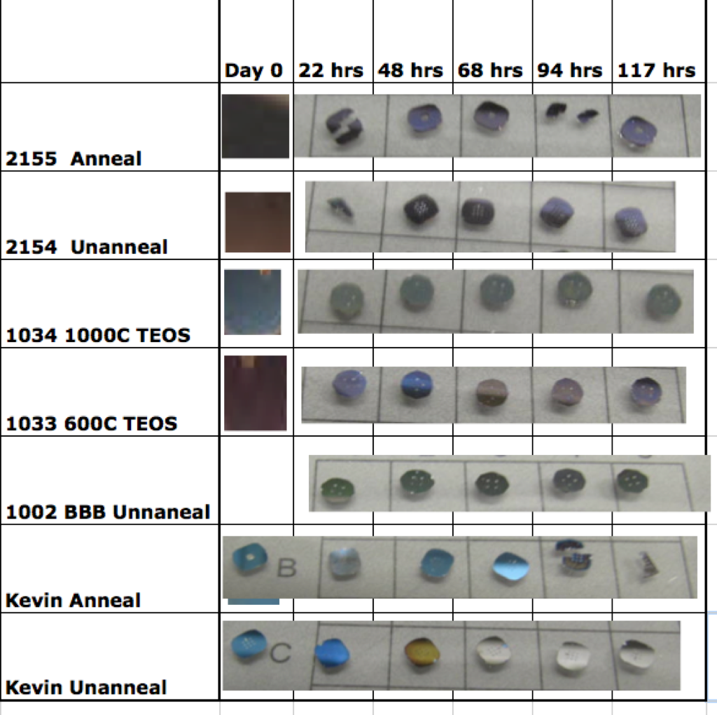 Discoloration Assay