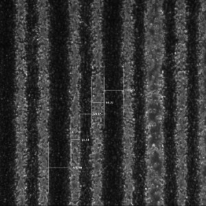 10x_50um line_100um spacing