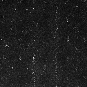 10x_50um line_100um spacing
