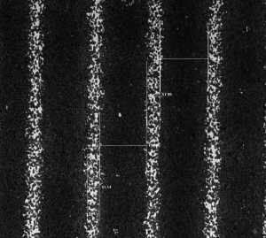 10x_50um line_200um spacing