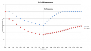 Diffusion Test Results