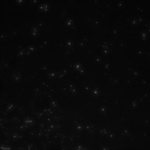 20 nm fluid front