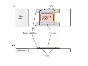 Flow Chamber Schematic