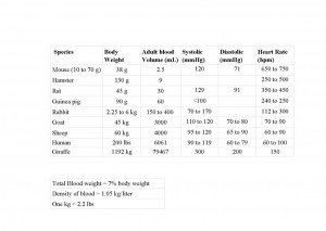 Animal Blood volumes