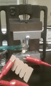 IMAG0434