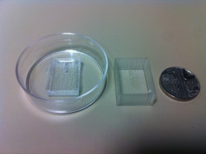 PDMS imprint mold successful.
