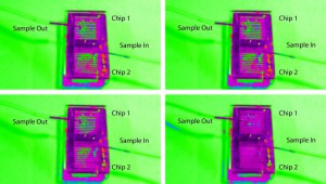 Fluid enters the bottom chip from the right, the upper fluidic channel, E-shaped, bifurcates the flow to each chip, the channels fill, the output of each chip is collected in the upper channel and leaves to the left.