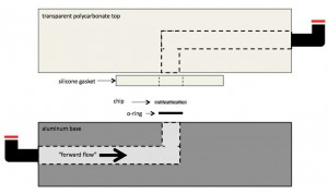 schematic of cross-section of new permeability test cell