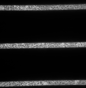 nitride_d_6