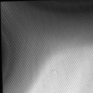 Water_10x