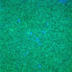 dc_adi_20_1