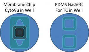 CytoVu vs TC