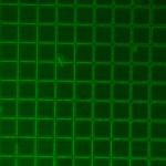 5_10x_2