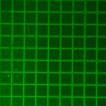 6_10x_2