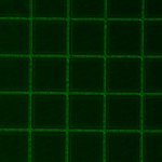 6_20x_1