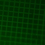 8_10x_2